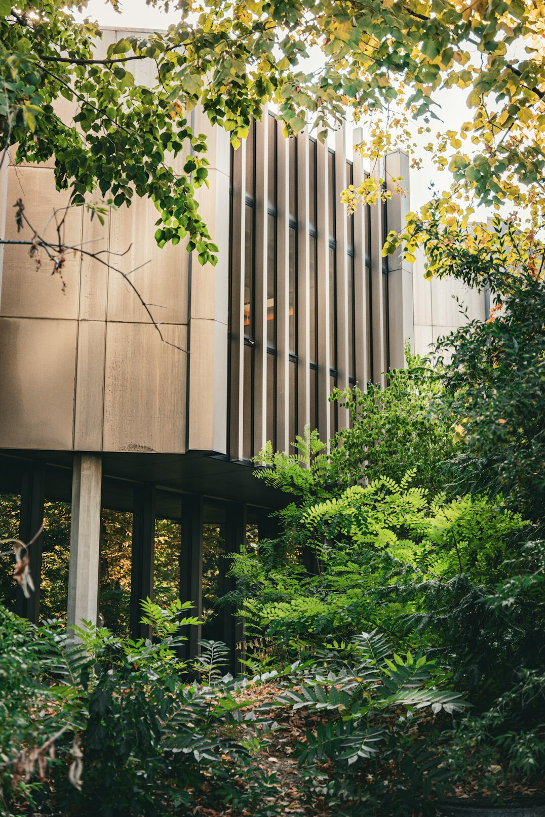Modern hospital building exterior surrounded by green trees